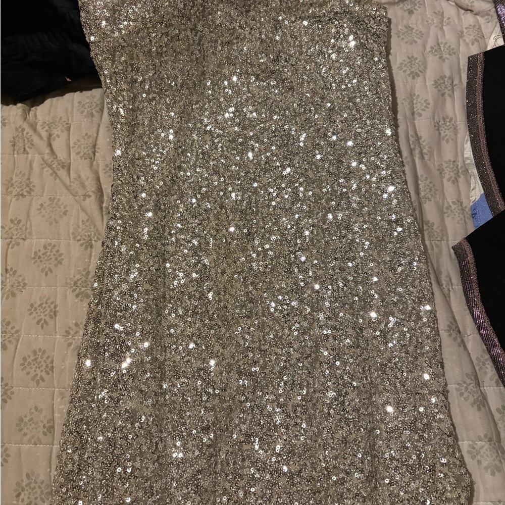 Silver Sequin Dress